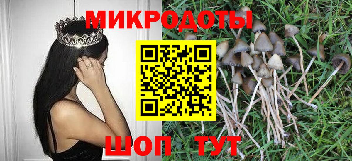 Псилоцибиновые грибы мицелий Абинск