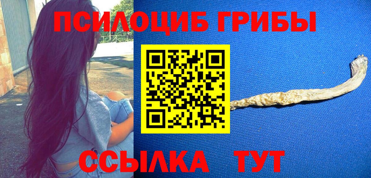 как найти наркотики  Псилоцибиновые грибы Cubensis  Вход с VPN  Абинск  Галлюциногенные грибы Psilocybine cubensis 